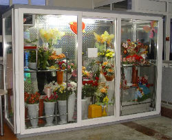 Торговый холодильник для цветов