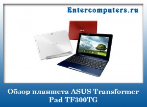Планшет Ноутбук Трансформер Asus Цена